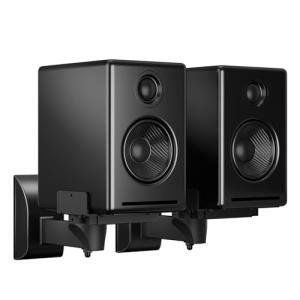 Dual Speaker Wall Mounts for Surround Sound