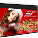 100-Inch Manual Pull Down Projector Screen 16:9