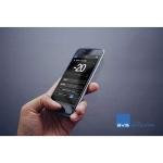 SVS PB-1000 Pro Subwoofer - Black Ash Finish