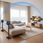 Saiyin 5.0 HiFi Surround Sound Home Theater System