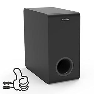 Bestisan 6.5" Compact Powered Subwoofer for Deep Bass