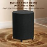 LITTOAK 100W 6.5’’ Powered Home Theater Subwoofer