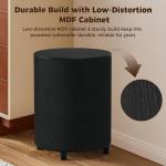 LITTOAK 100W 6.5’’ Powered Home Theater Subwoofer