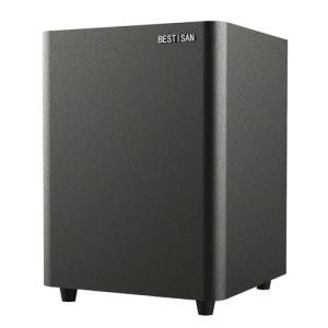 BESTISAN Powered Subwoofer with Deep Bass Output