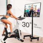 Rolling Mobile TV Cart for 13-50 Inch Screens