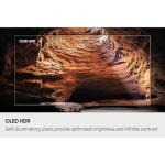 Samsung 65" 4K OLED Smart TV with HDMI Bundle