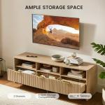 Amada 59" Mid-Century TV Stand with Storage