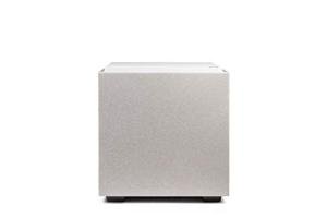 Definitive Technology DN10 10" Digital Subwoofer