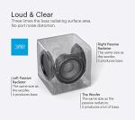 Definitive Technology DN10 10" Digital Subwoofer