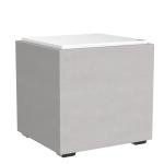 Definitive Technology DN10 10" Digital Subwoofer