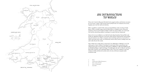 Welsh Monsters & Mythical Beasts Guidebook