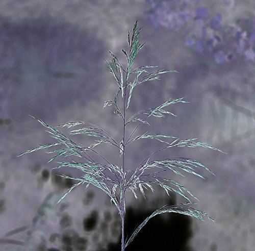 Dark Side of Poetry and Prose Book Three