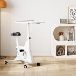 FLEXISPOT 3-IN-1 Exercise Bike, Indoor Cycling Bike w/2D Desktop, 300LBS