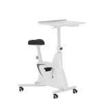 FLEXISPOT 3-IN-1 Exercise Bike, Indoor Cycling Bike w/2D Desktop, 300LBS