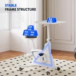 FLEXISPOT 3-IN-1 Exercise Bike, Indoor Cycling Bike w/2D Desktop, 300LBS