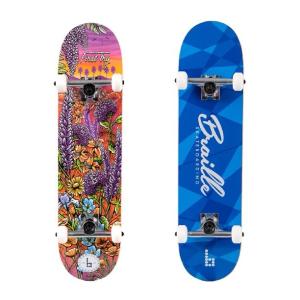 Braille Skateboarding Complete Skateboard with 7-Ply Maple Deck, Blue