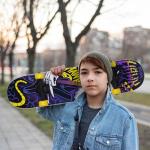 Tony Hawk 31 inch Skateboard, Tony Hawk Signature Series 1, 9-ply Maple Deck Skateboard for Cruising, Carving, Tricks and Downhill, Heavy Metal