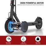 Ladped LP80 ADULT ELECTRIC SCOOTER 350W LONG RANGE 21Miles HIGH SPEED 19MPH