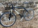 Ibis Mojo Hardtail Mountain Bike 18.5” Shimano XT 9spd Rare Moron Steel Tubing