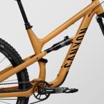 Canyon Spectral 5, Dark Honey, Medium