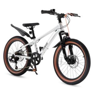RoyalBaby Kids Mountain Bike 20" for Boys & Girls Ages 6-10 Year Old- Lightweight Aluminum, 7-Speed, Suspension Fork - Silver