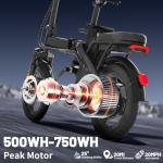 RPINT Foldable Electric Bike for Adults and Teens 500W Motor, 14" Folding E Bike with 48V Removable Battery UL 2849 Certified, Electric Bicycle with 30 Miles PAS Range, 20MPH Commuter Mini E-Bike