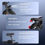 RPINT Foldable Electric Bike for Adults and Teens 500W Motor, 14" Folding E Bike with 48V Removable Battery UL 2849 Certified, Electric Bicycle with 30 Miles PAS Range, 20MPH Commuter Mini E-Bike