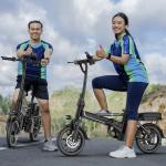 Ladped 14" Folding Electric Bicycles 22 MPH with Peak 750W ebike 48V 499.2WH