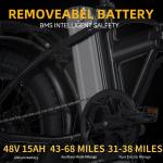New Folding Ebike 14/20" 450/750W 48V Electric Bike Bicycle Fat Tire 30mph