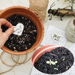 Heart-Shaped Plantable Wildflower Wedding Favors (50 Pack)