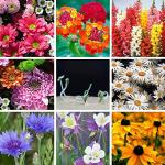 Heart-Shaped Plantable Wildflower Wedding Favors (50 Pack)