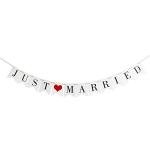 Just Married Vintage Banner for Photo Booth
