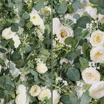 2 Pack 13Ft Eucalyptus and White Rose Garland