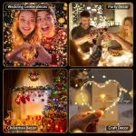 20 Pack Battery Operated LED Fairy String Lights