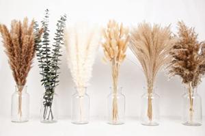Boho Pampas Grass Decor Set for Weddings