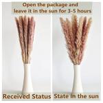 Boho Pampas Grass Decor Set for Weddings