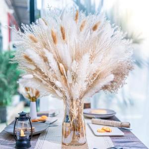floradream 95 PCS Natural Pampas Grass Decor Bouquet | Boho Dried Floral Arrangement Centerpiece Table Decor Wedding Decor Rustic Decor, Natural, white, beige (Fdm-b-01)