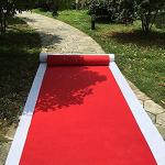 Aisle Runners Wedding Accessories 2mm Red Aisle Runner Carpet Rugs for Step and Repeat Display, Ceremony Parties and Events Indoor or Outdoor Decoration 24 Inch Wide x 15 feet Long