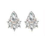 FENBORY Clear Rhinestone Earrings Fancy Crystal Cluster Drop Bridal Wedding Prom Earrings for Women