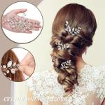 Wedding Hair Accessories: Bridal Headpiece With Hair Piece for Brides (Silver)