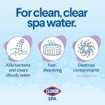 Clorox Pool & Spa All-in-One Water Sanitizer 2LB