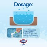 Clorox Pool & Spa All-in-One Water Sanitizer 2LB