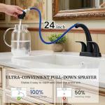 Velvet Black 4" Bathroom Faucet with Pull-Out Sprayer