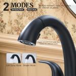 Velvet Black 4" Bathroom Faucet with Pull-Out Sprayer