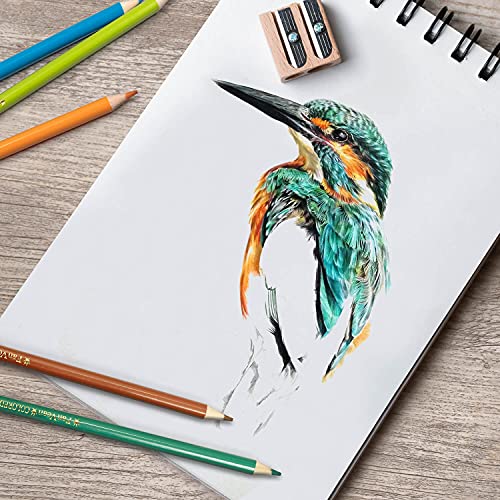 50 Count Adult Colored Pencil Set by FanVean