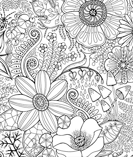 Color & Frame: In the Forest Coloring Book