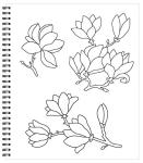 Large Print Easy Color & Frame: Calm Book