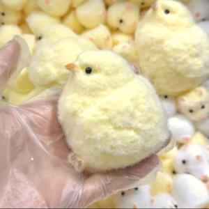 JIACAI 1pcs Handmade Chick Squishy Toys Ultra Soft squishies Fidget Toys Silicone Squeeze Toys for Stress Relief ( Chicken )