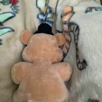Freddy Plush from Five Nights at Freddy's