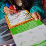 Melissa & Doug On the Go Water Wow! Reusable Water-Reveal Activity Pad - Animals - FSC Certified